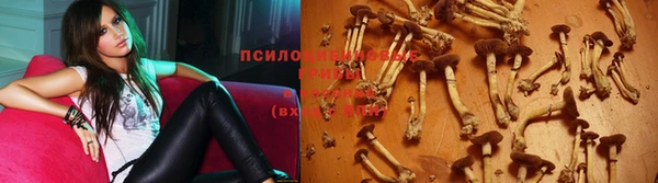 ECSTASY Ладушкин