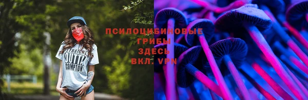 ECSTASY Ладушкин
