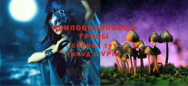 ECSTASY Ладушкин