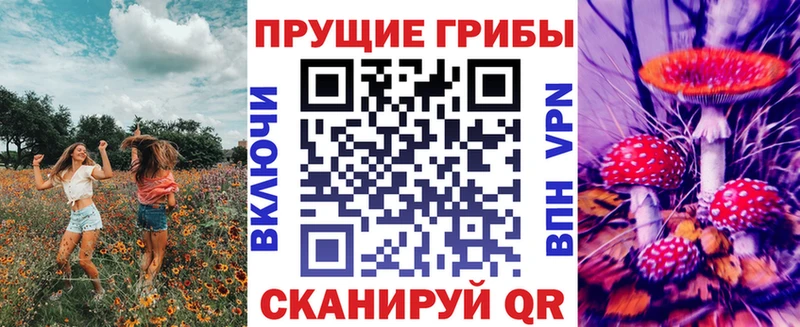 Купить где  Калининск  Псилоцибиновые грибы Psilocybe 